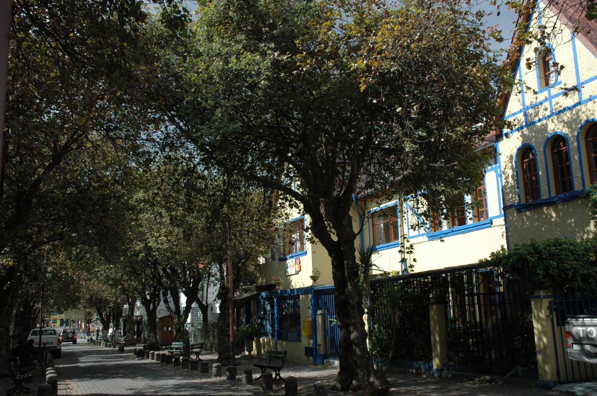 Hostal Posada Del Maple Quito Exterior foto