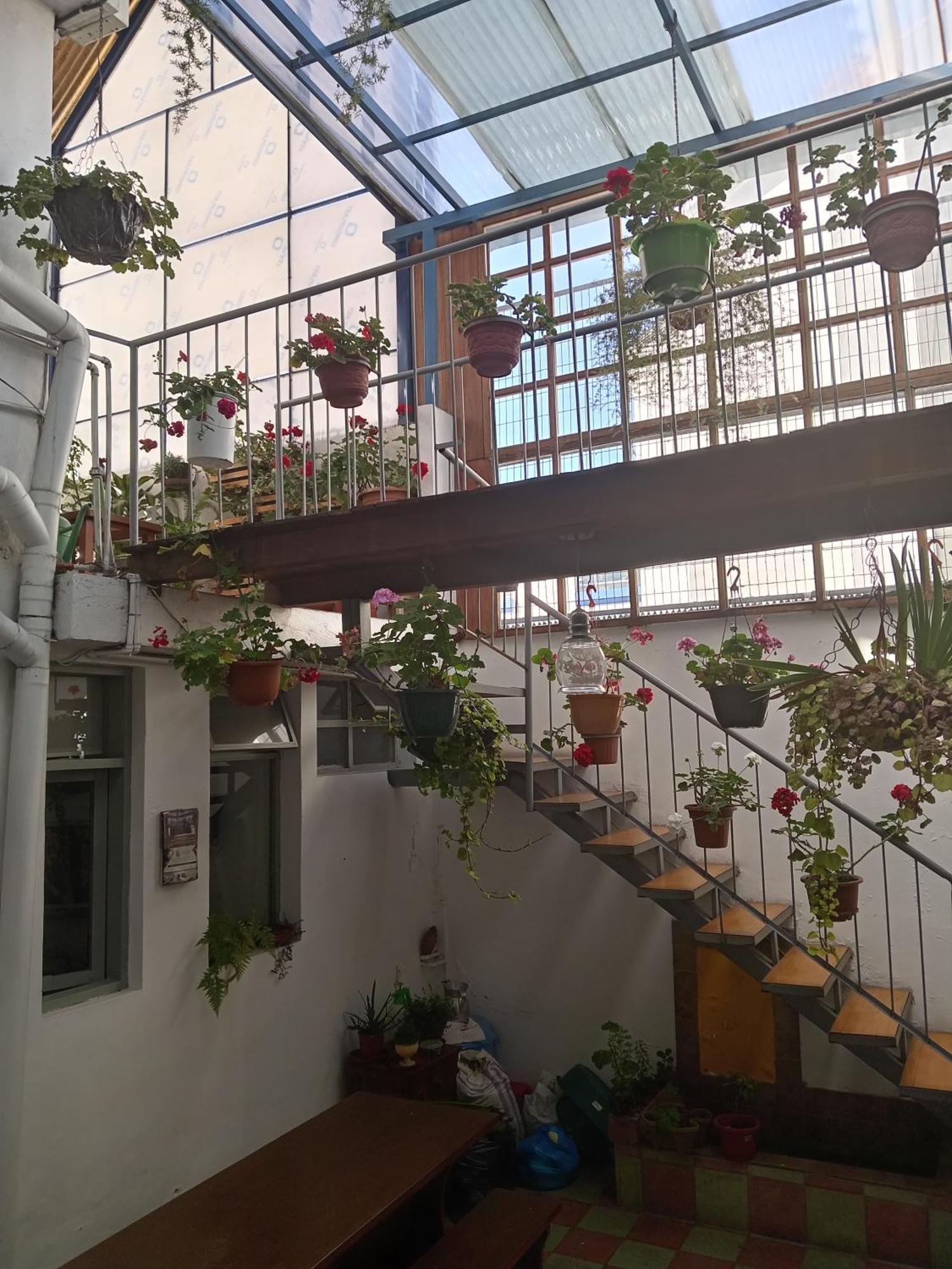 Hostal Posada Del Maple Quito Exterior foto