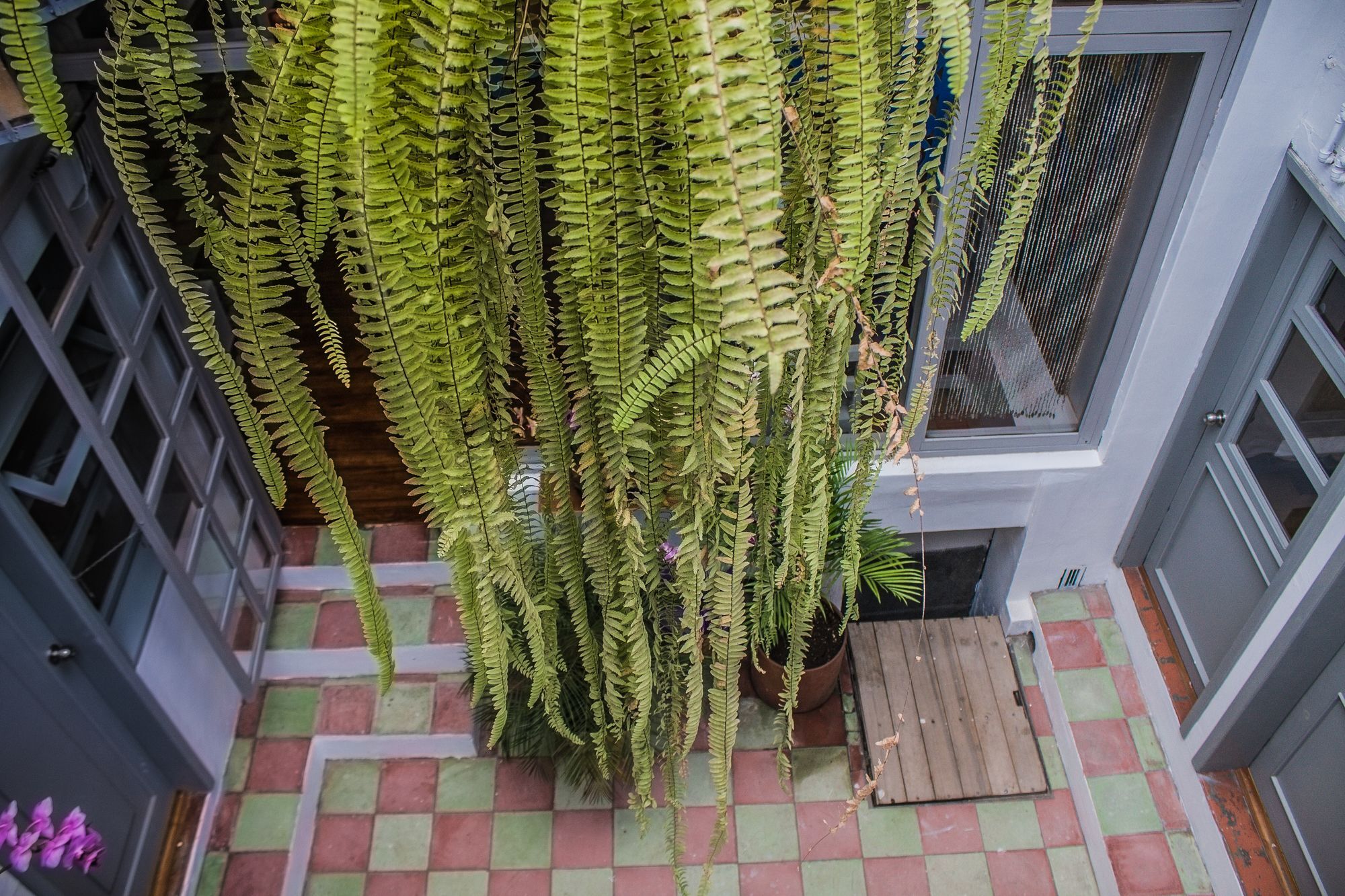 Hostal Posada Del Maple Quito Exterior foto